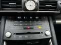 Lexus IS 300 h F Sport Klima Kamera Sitzhzg Grijs - thumbnail 17