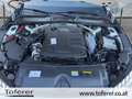 Audi A4 35 TDI S-line S-tronic Weiß - thumbnail 21