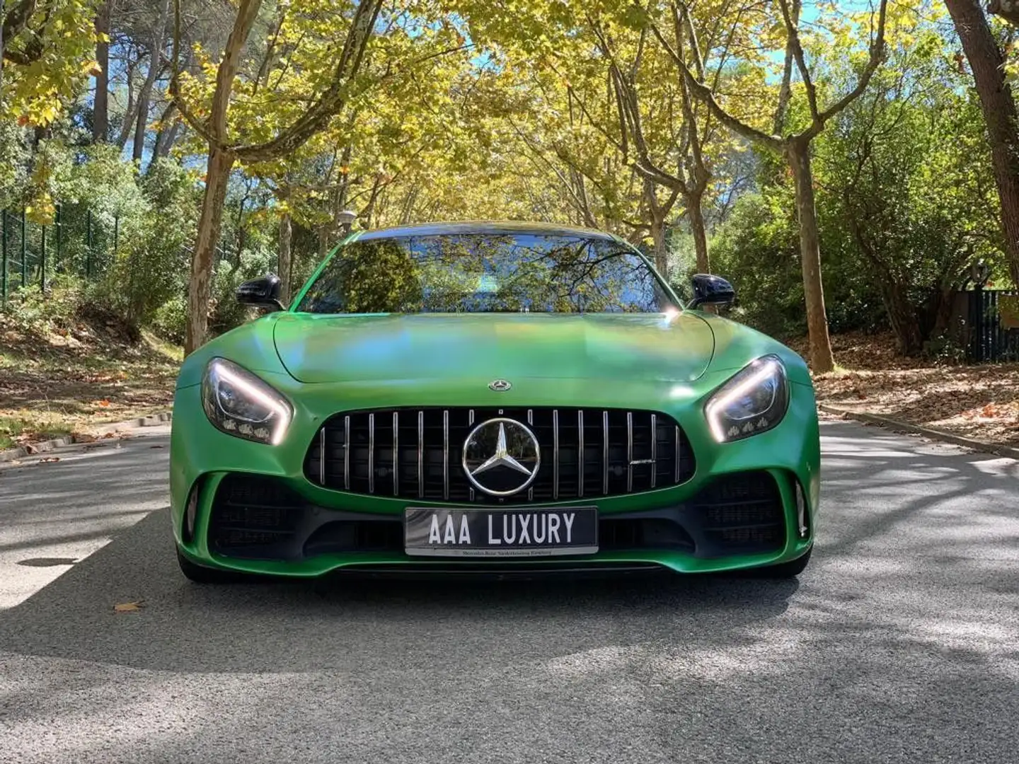 Mercedes-Benz AMG GT Coupe *CAM*Distro.pro*Keyless*Memory Green - 2