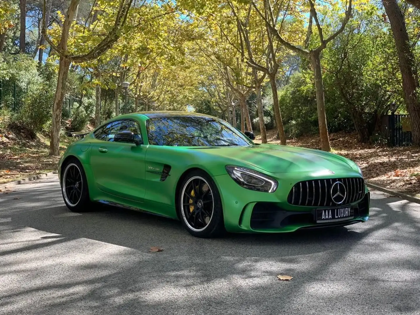 Mercedes-Benz AMG GT Coupe *CAM*Distro.pro*Keyless*Memory Groen - 1