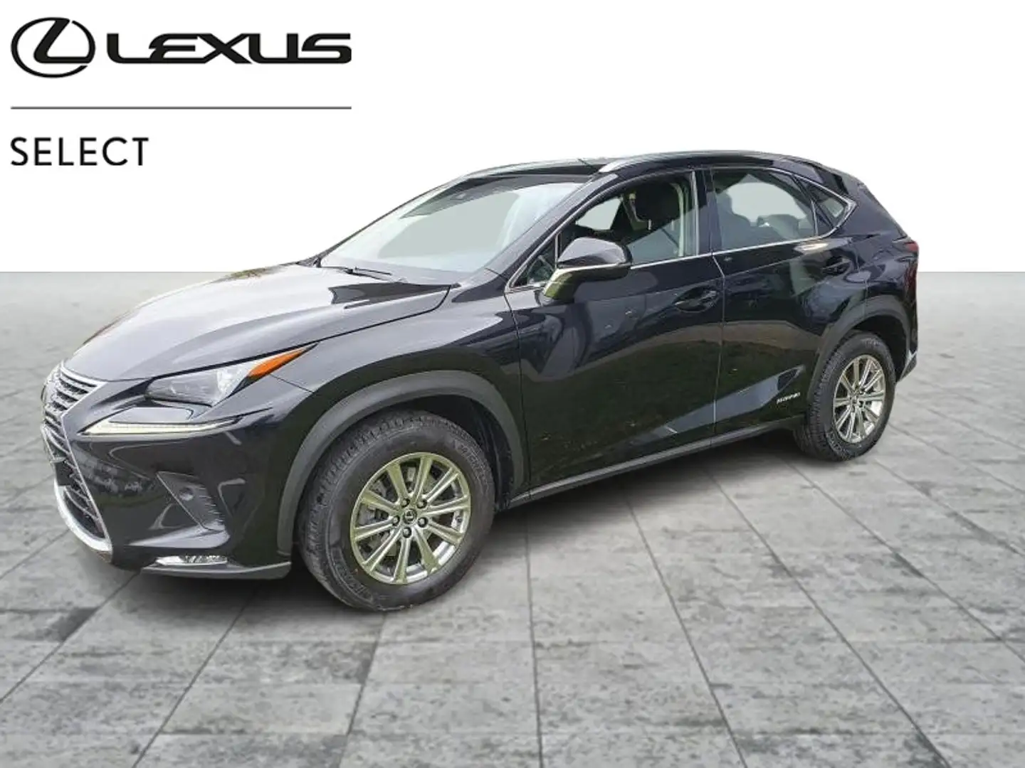 Lexus NX 300h +4x4 Siyah - 1