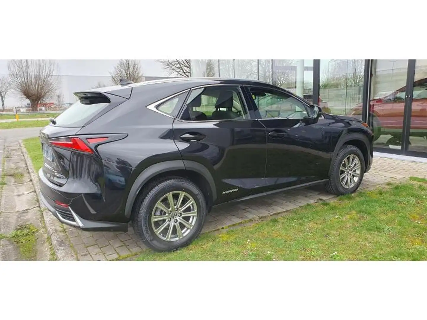 Lexus NX 300h +4x4 Siyah - 2