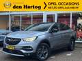 Opel Grandland X 1.2 Turbo Business Edition Trekhaak/Winterpaket/Al Grau - thumbnail 1