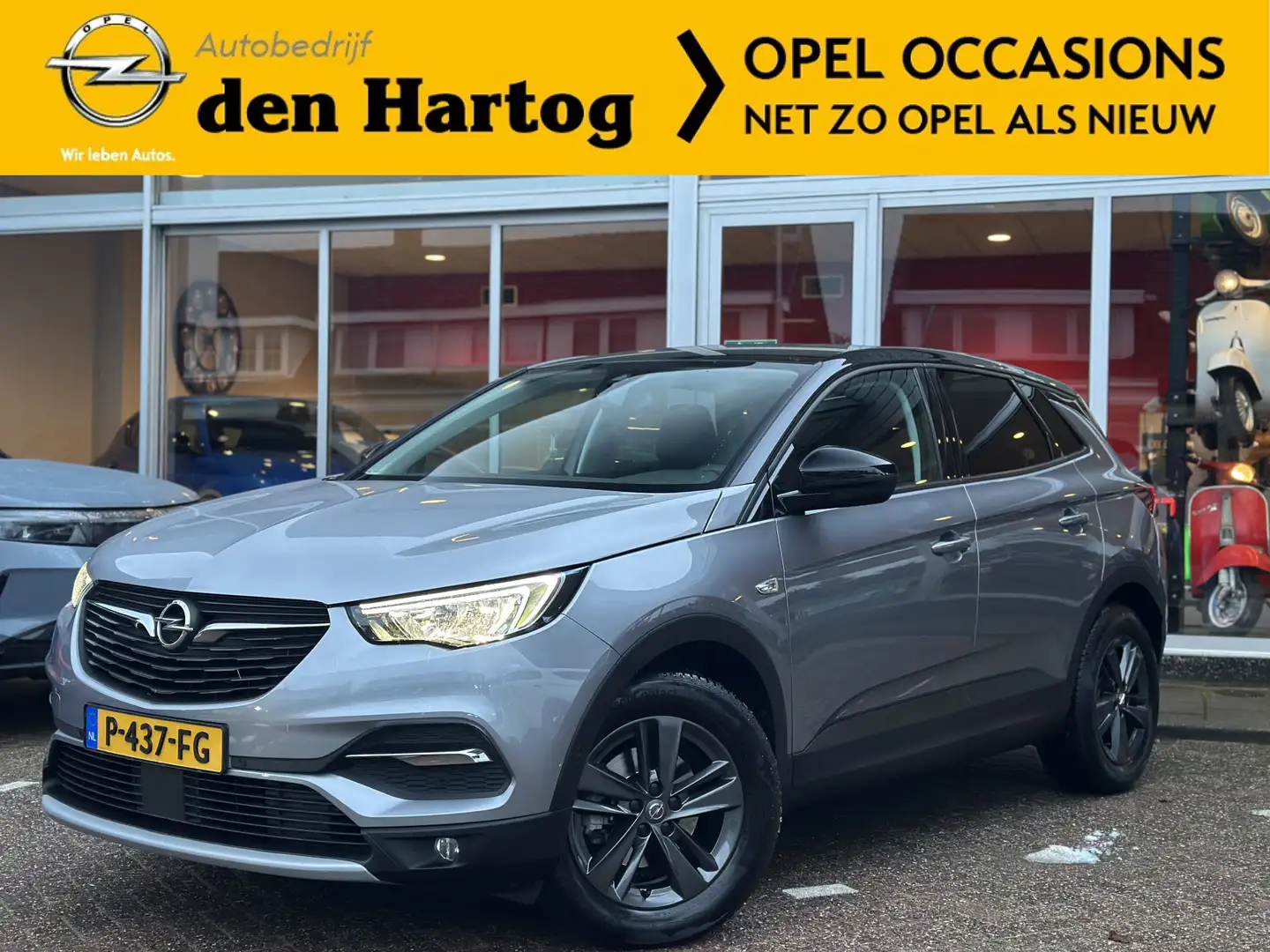 Opel Grandland X 1.2 Turbo Business Edition Trekhaak/Winterpaket/Al Grau - 1