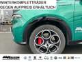 Alfa Romeo Tonale Speciale 1.3T PHEV Q4 AHK WINTER PREMIUM ASSISTENZ Green - thumbnail 9