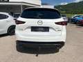 Mazda CX-5 G165 Homura Plus/SD Weiß - thumbnail 5