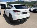 Mazda CX-5 G165 Homura Plus/SD Weiß - thumbnail 6