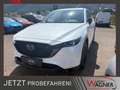 Mazda CX-5 G165 Homura Plus/SD Weiß - thumbnail 1