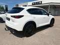 Mazda CX-5 G165 Homura Plus/SD Weiß - thumbnail 4