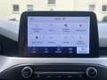 Ford Focus Cool Hybrid | ab 4,99% | Garantie | Blanc - thumbnail 11
