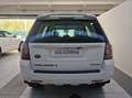 Land Rover Freelander Freelander 2.2 SD4 S.W. HSE Luxury 4WD TETTO APRI Wit - thumbnail 7