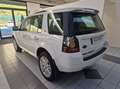 Land Rover Freelander Freelander 2.2 SD4 S.W. HSE Luxury 4WD TETTO APRI Wit - thumbnail 18