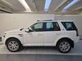 Land Rover Freelander Freelander 2.2 SD4 S.W. HSE Luxury 4WD TETTO APRI Wit - thumbnail 6