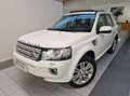 Land Rover Freelander Freelander 2.2 SD4 S.W. HSE Luxury 4WD TETTO APRI Wit - thumbnail 1