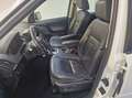 Land Rover Freelander Freelander 2.2 SD4 S.W. HSE Luxury 4WD TETTO APRI Wit - thumbnail 3