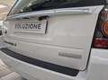 Land Rover Freelander Freelander 2.2 SD4 S.W. HSE Luxury 4WD TETTO APRI Wit - thumbnail 21