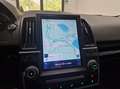 Land Rover Freelander Freelander 2.2 SD4 S.W. HSE Luxury 4WD TETTO APRI Wit - thumbnail 14