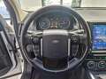 Land Rover Freelander Freelander 2.2 SD4 S.W. HSE Luxury 4WD TETTO APRI Wit - thumbnail 11