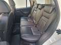 Land Rover Freelander Freelander 2.2 SD4 S.W. HSE Luxury 4WD TETTO APRI Wit - thumbnail 5
