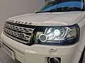 Land Rover Freelander Freelander 2.2 SD4 S.W. HSE Luxury 4WD TETTO APRI Wit - thumbnail 16