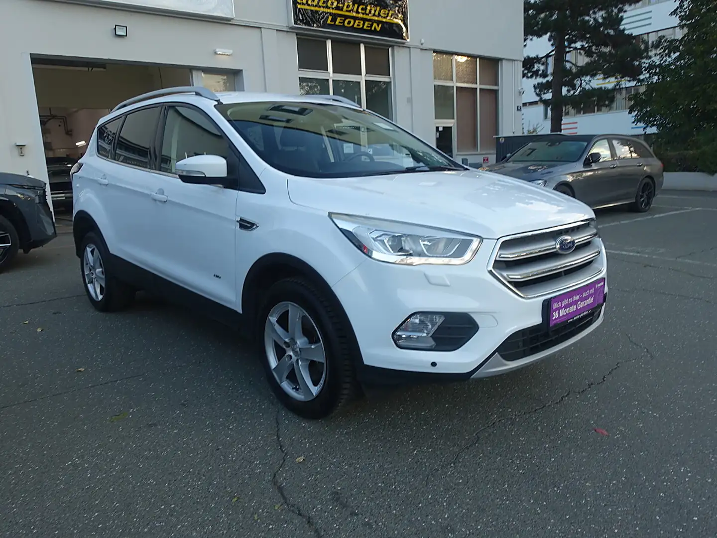 Ford Kuga 2,0 TDCi Titanium Start/Stop Powershift Aut. AWD Weiß - 2