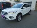 Ford Kuga 2,0 TDCi Titanium Start/Stop Powershift Aut. AWD Weiß - thumbnail 4