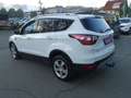Ford Kuga 2,0 TDCi Titanium Start/Stop Powershift Aut. AWD Weiß - thumbnail 5