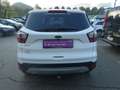 Ford Kuga 2,0 TDCi Titanium Start/Stop Powershift Aut. AWD Weiß - thumbnail 6