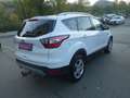 Ford Kuga 2,0 TDCi Titanium Start/Stop Powershift Aut. AWD Weiß - thumbnail 7