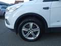 Ford Kuga 2,0 TDCi Titanium Start/Stop Powershift Aut. AWD Weiß - thumbnail 25