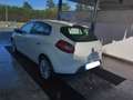 Fiat Bravo 1.6 mjt Dynamic 90cv White - thumbnail 7