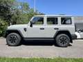 EMC 212 2.0 TDI Diesel 4WD AT Grau - thumbnail 4