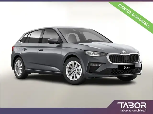 Skoda Scala 116 DSG Selec ACC Kessy SunS Cam