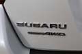 Subaru XV 1.6I LUXURY AWD Automaat Wit - thumbnail 8