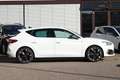 CUPRA Leon 1.5 eTSI DSG*NAVI*ACC*SHZ*CLIMATRONIC Weiß - thumbnail 5