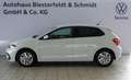 Volkswagen Polo Style 1.0TSI DSG LED SHZ PDC ACC Klima App Klima Weiß - thumbnail 3