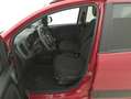 Fiat Panda Hybrid Cross 1.0 Mild Hybrid 69CV Rosso - thumbnail 10