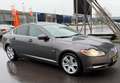 Jaguar XF 3.0D S V6 Portfolio VOLOPTIE/PANO/LEDER/MEMORY/ALC Grau - thumbnail 9