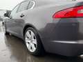 Jaguar XF 3.0D S V6 Portfolio VOLOPTIE/PANO/LEDER/MEMORY/ALC Grau - thumbnail 5