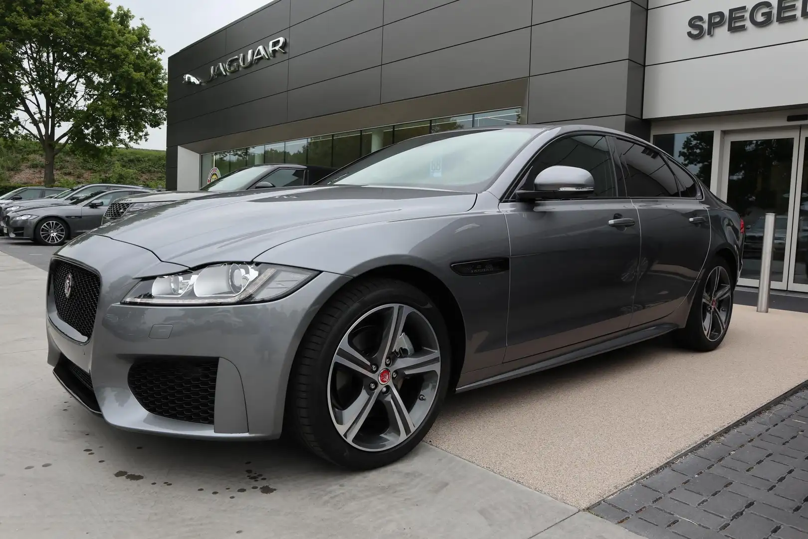 Jaguar XF CHEQUERED FLAG Gris - 1