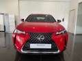 Lexus UX 300h + Rot - thumbnail 3