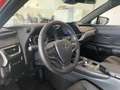Lexus UX 300h + Rot - thumbnail 16