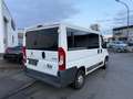 Peugeot Boxer Kombi 330 L1H1 Active Blue-HDi 110 Blanco - thumbnail 7