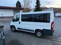 Peugeot Boxer Kombi 330 L1H1 Active Blue-HDi 110 Blanco - thumbnail 9