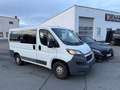 Peugeot Boxer Kombi 330 L1H1 Active Blue-HDi 110 Blanco - thumbnail 4