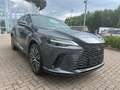 Lexus RX 350 h 350h E-Four Executive Line ACC+LED+Navi Grau - thumbnail 9