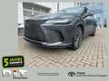 Lexus RX 350 h 350h E-Four Executive Line ACC+LED+Navi Grau - thumbnail 1