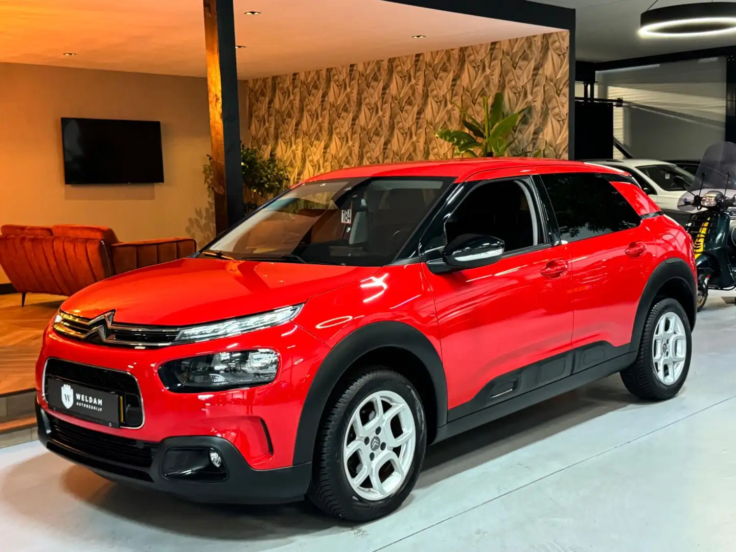 Citroen C4 Cactus 1.2 PureTech Feel Garantie CarPlay Cruise Clima Na Rouge - 2