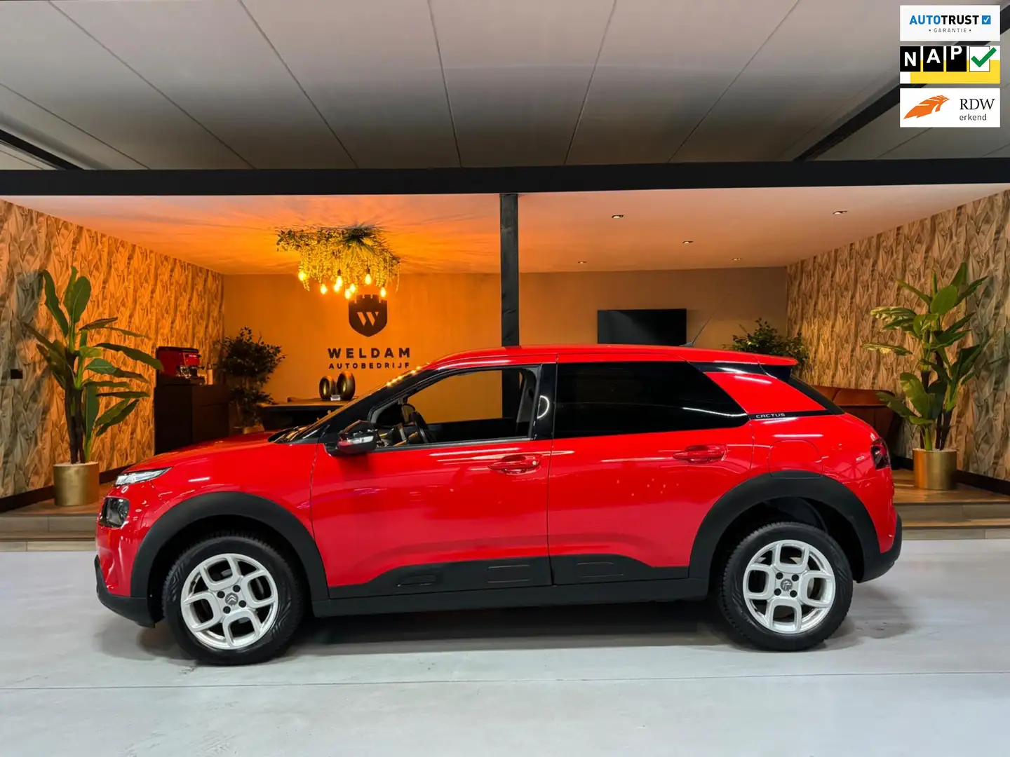 Citroen C4 Cactus 1.2 PureTech Feel Garantie CarPlay Cruise Clima Na Rouge - 1