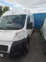 Fiat Ducato Ducato Panorama 30 L1H1 130 Multijet Panorama Weiß - thumbnail 1